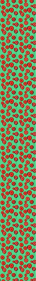 patterned-wallpaper-poppy-flowers-in-may