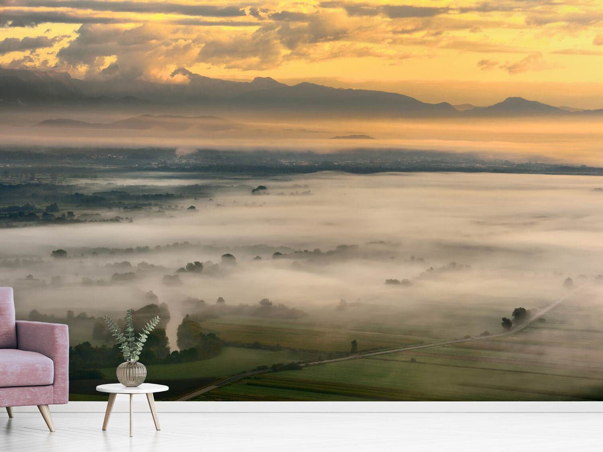 photo-wallpaper-untitled-iv-p