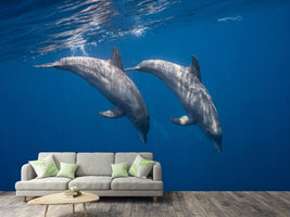 photo-wallpaper-two-bottlenose-dolphins