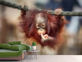 photo-wallpaper-the-big-query-x