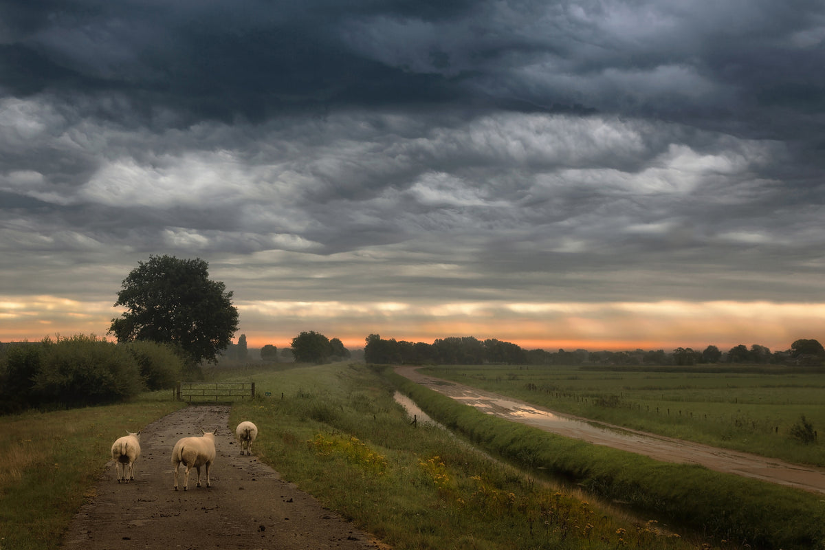 photo-wallpaper-waving-clouds-x