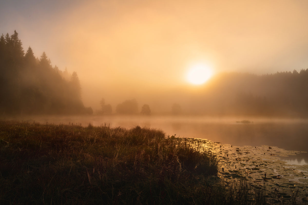 photo-wallpaper-the-incredible-light-of-an-october-morning-x