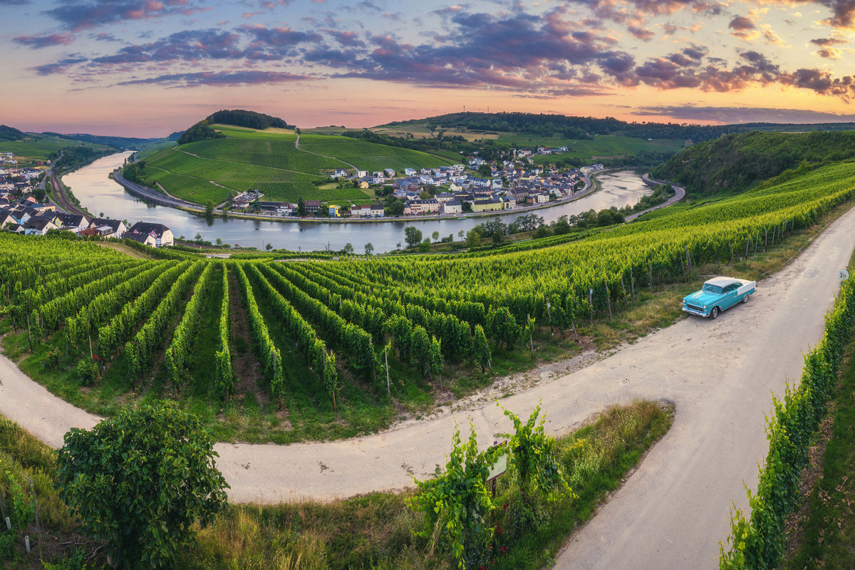 photo-wallpaper-moselle-bend-with-vineyards