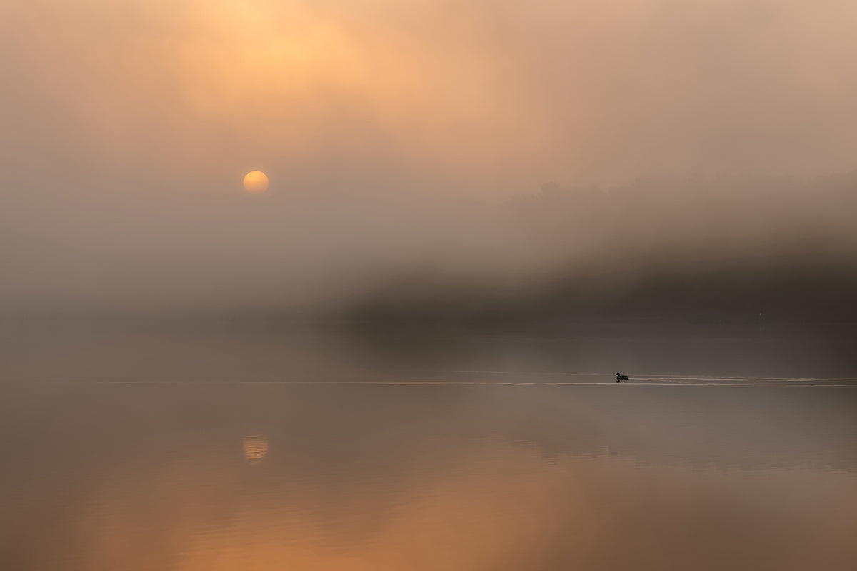 photo-wallpaper-autumn-fog-over-the-water