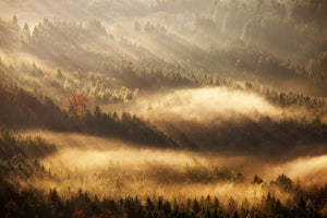 photo-wallpaper-autumn-rays-x