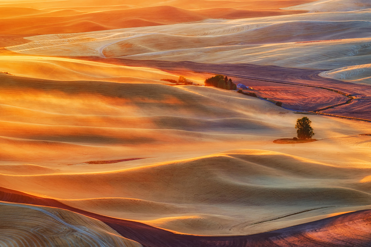 photo-wallpaper-golden-palouse-x