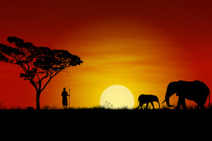 photo-wallpaper-african-steppe-elephant