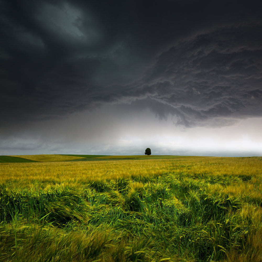 photo-wallpaper-sommergewitter