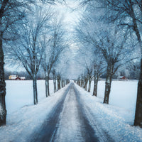 photo-wallpaper-swedish-winter-x