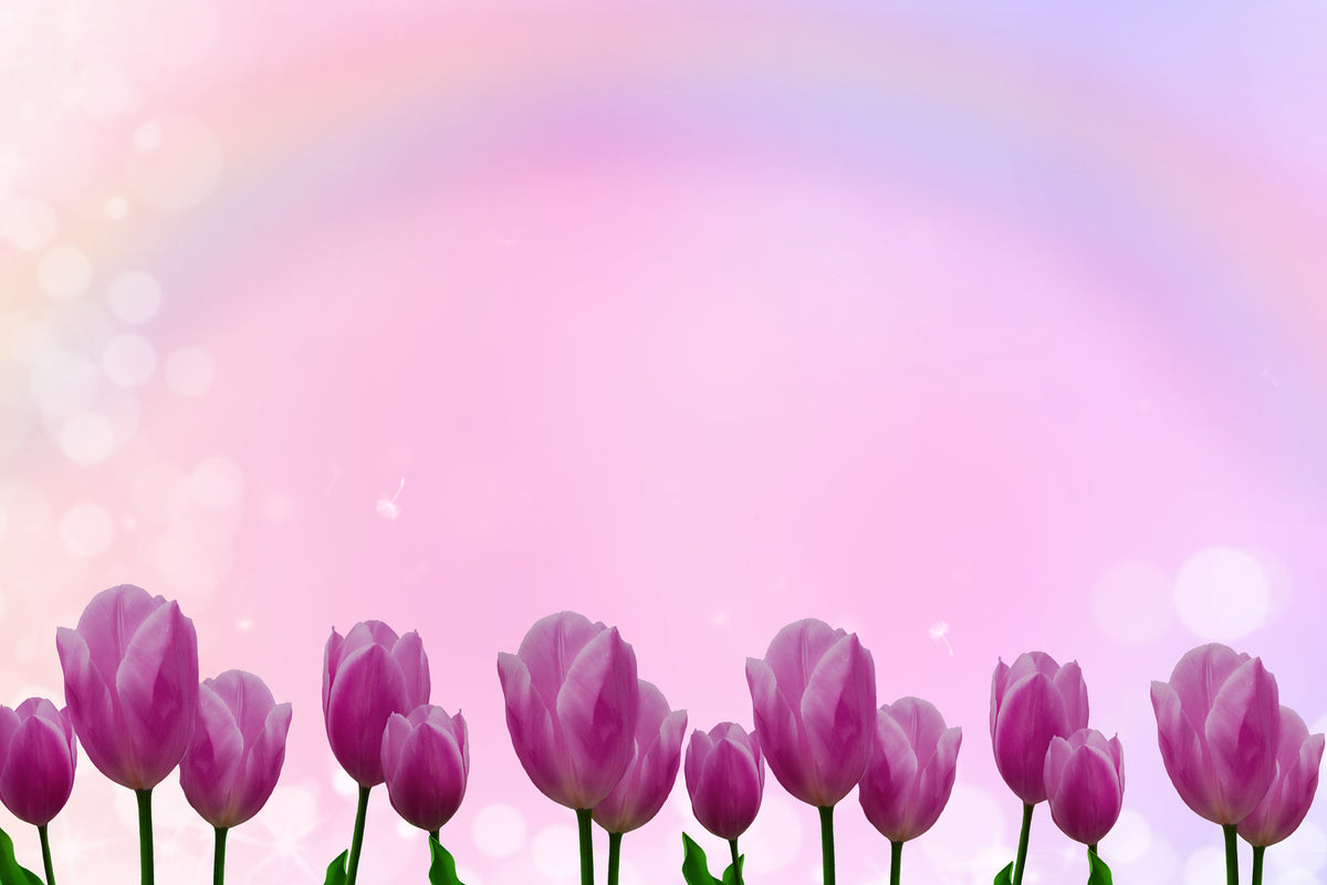 photo-wallpaper-sweet-tulips