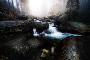 photo-wallpaper-forest-stream-high-tatras-x