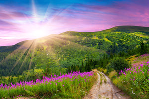 photo-wallpaper-a-summer-landscape-at-sunrise