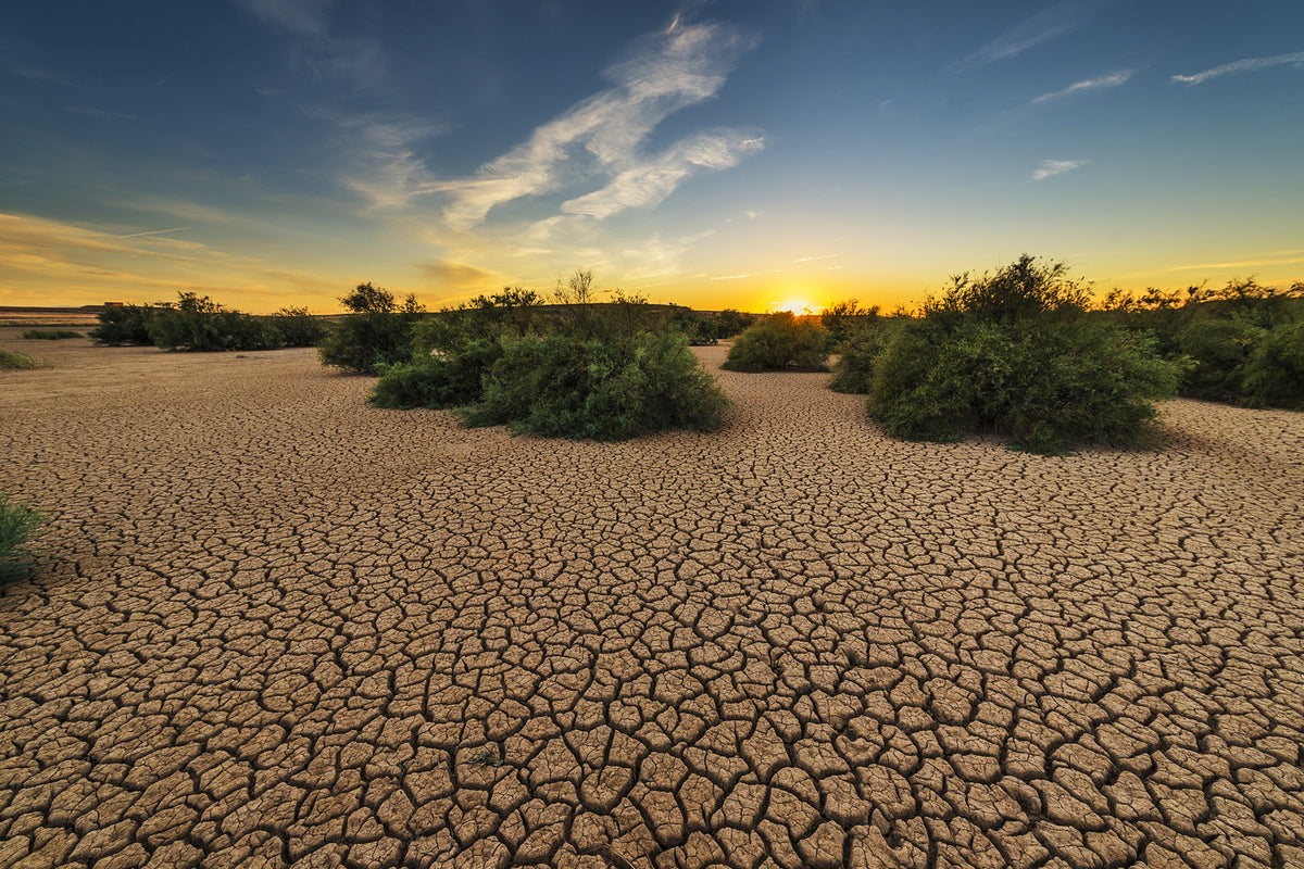 photo-wallpaper-the-drought