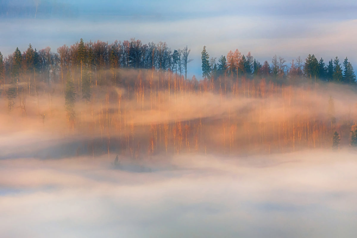 photo-wallpaper-in-the-morning-mists