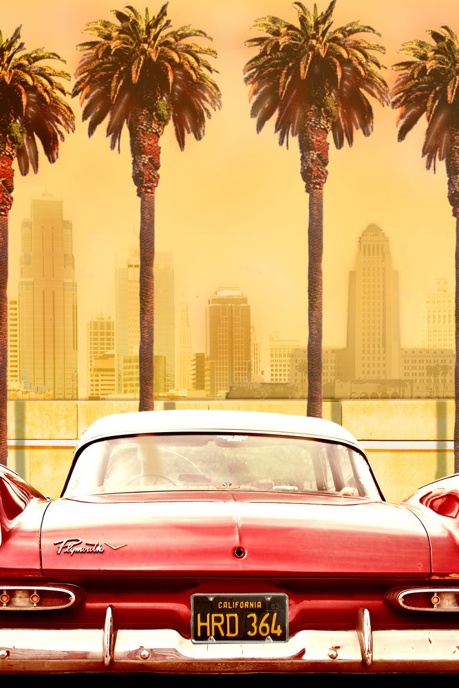 photo-wallpaper-plymouth-savoy-with-palms