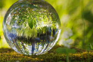 photo-wallpaper-nature-ball