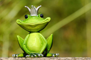 photo-wallpaper-mr-frog-king