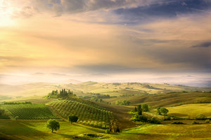 photo-wallpaper-podere-belvedere-sunrise