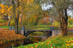 photo-wallpaper-romantic-park