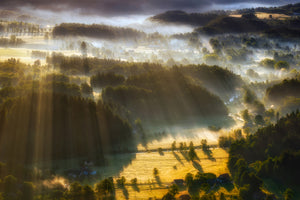 photo-wallpaper-in-the-morning-mists-x