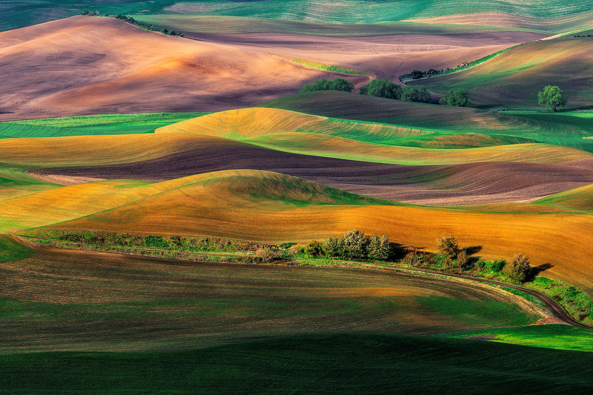 photo-wallpaper-the-palouse