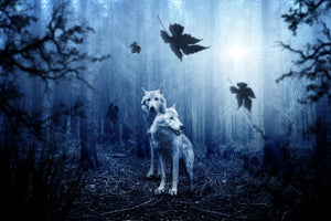 photo-wallpaper-wolf39s-couple