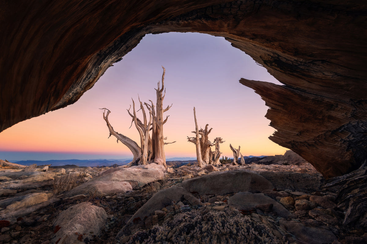 photo-wallpaper-sunset-out-of-window-x