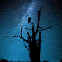 photo-wallpaper-alone-in-the-dark