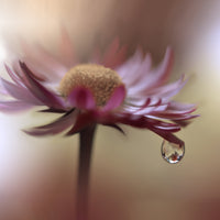 photo-wallpaper-tears-of-time