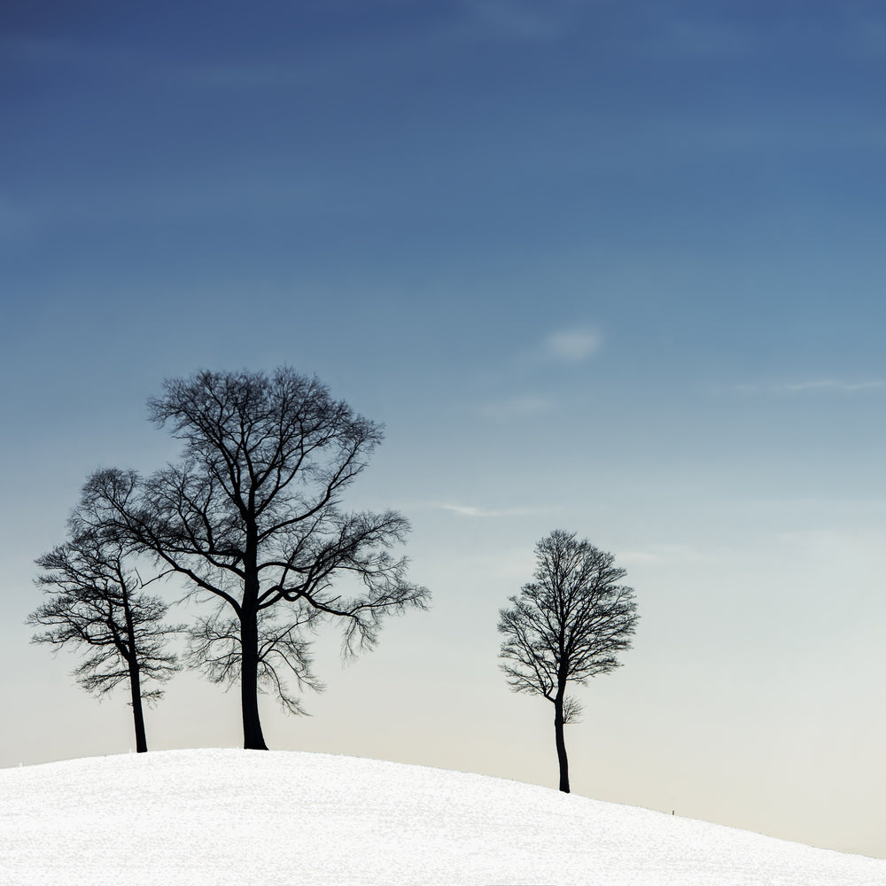 photo-wallpaper-winter-haiku