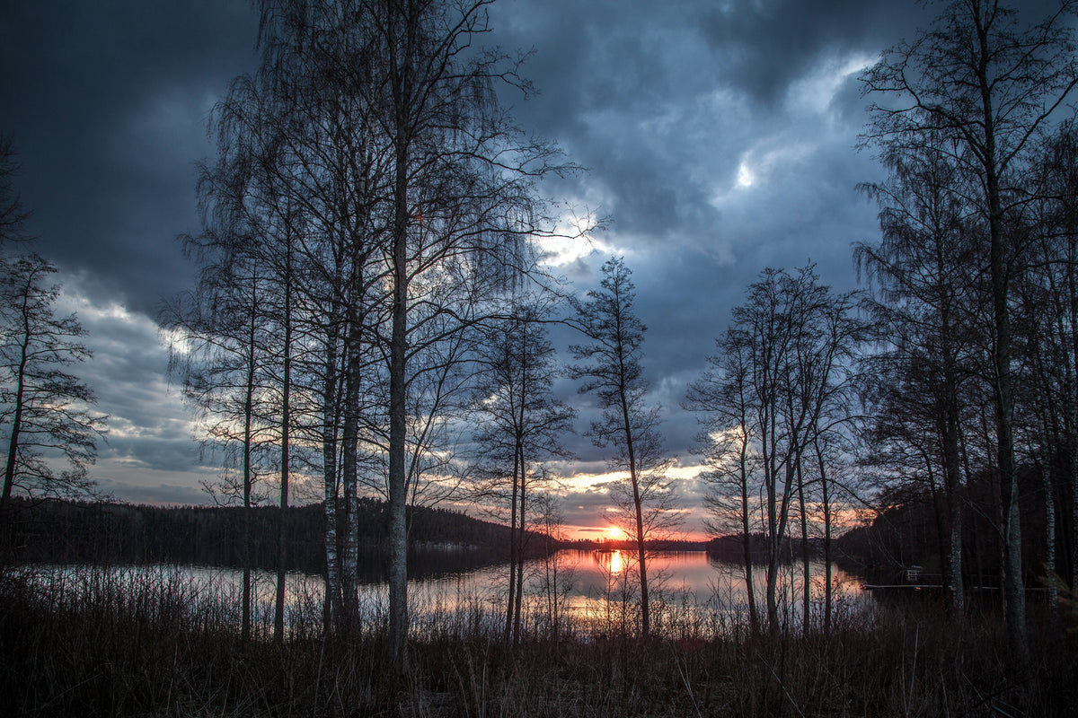 photo-wallpaper-trees-at-the-lake