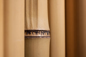 photo-wallpaper-bamboo-close-up