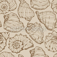 patterned-wallpaper-seashells-sand