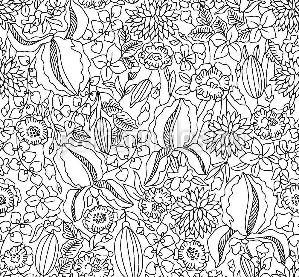 patterned-wallpaper-lilly-is-drawing