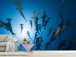 photo-wallpaper-hammerhead-sharks-in-the-light