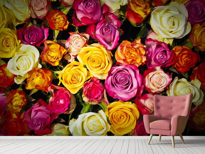 photo-wallpaper-many-colorful-rose-petals