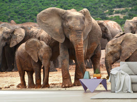 photo-wallpaper-elephant-herd-in-africa