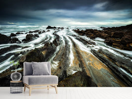 photo-wallpaper-dragon-skin-beach-x