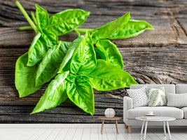 photo-wallpaper-basil-leaves-ii