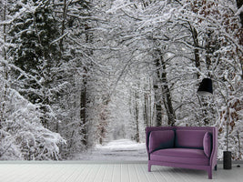 photo-wallpaper-enchanted-winter-forest