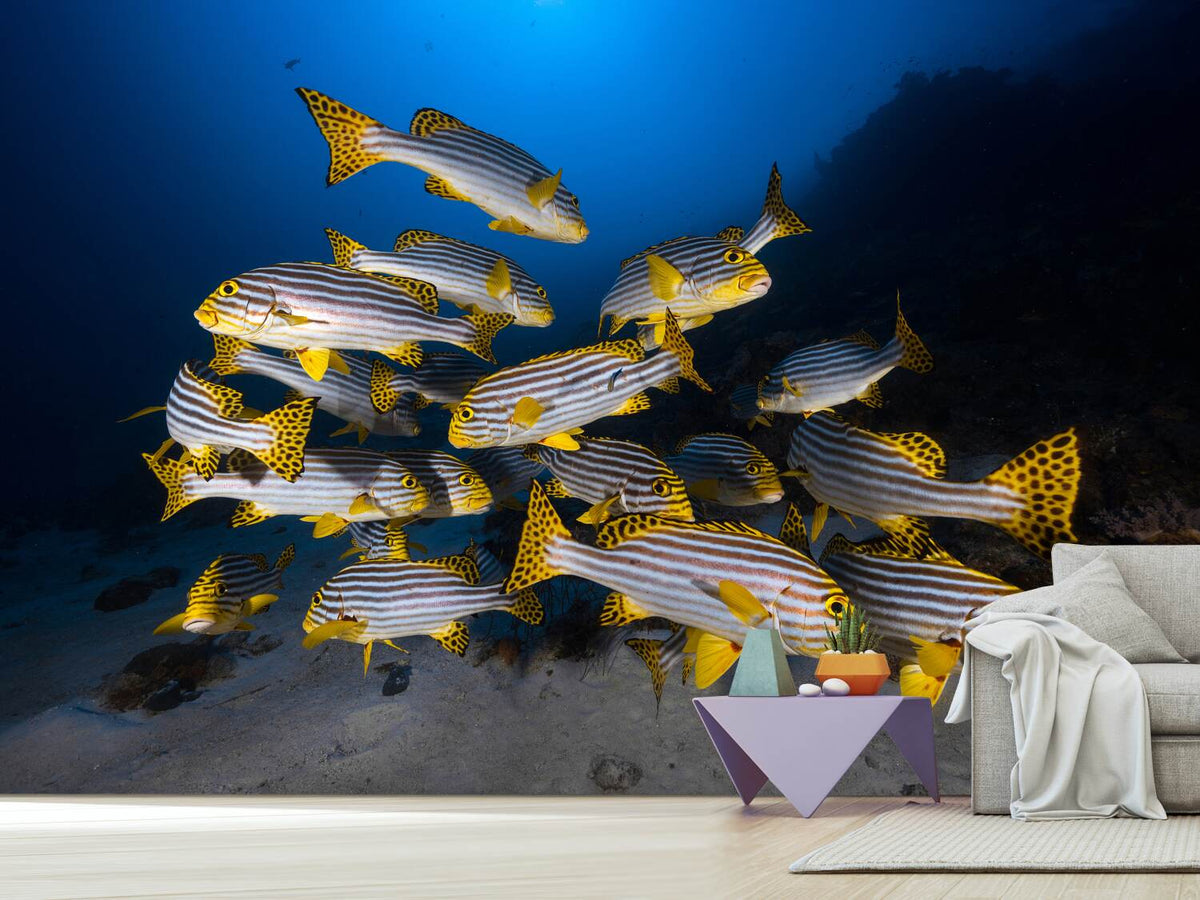 photo-wallpaper-fish-in-the-dance-of-the-waves