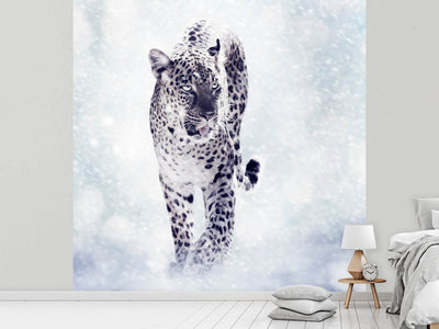 photo-wallpaper-photo-wallaper-the-leopard