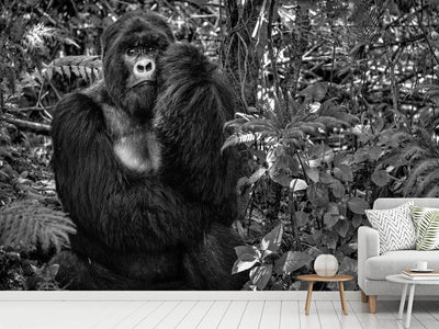 photo-wallpaper-kwitonda-silverback