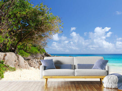 photo-wallpaper-dream-beach-seychelles