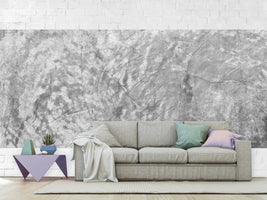 photo-wallpaper-wipe-technique-in-gray-panorama