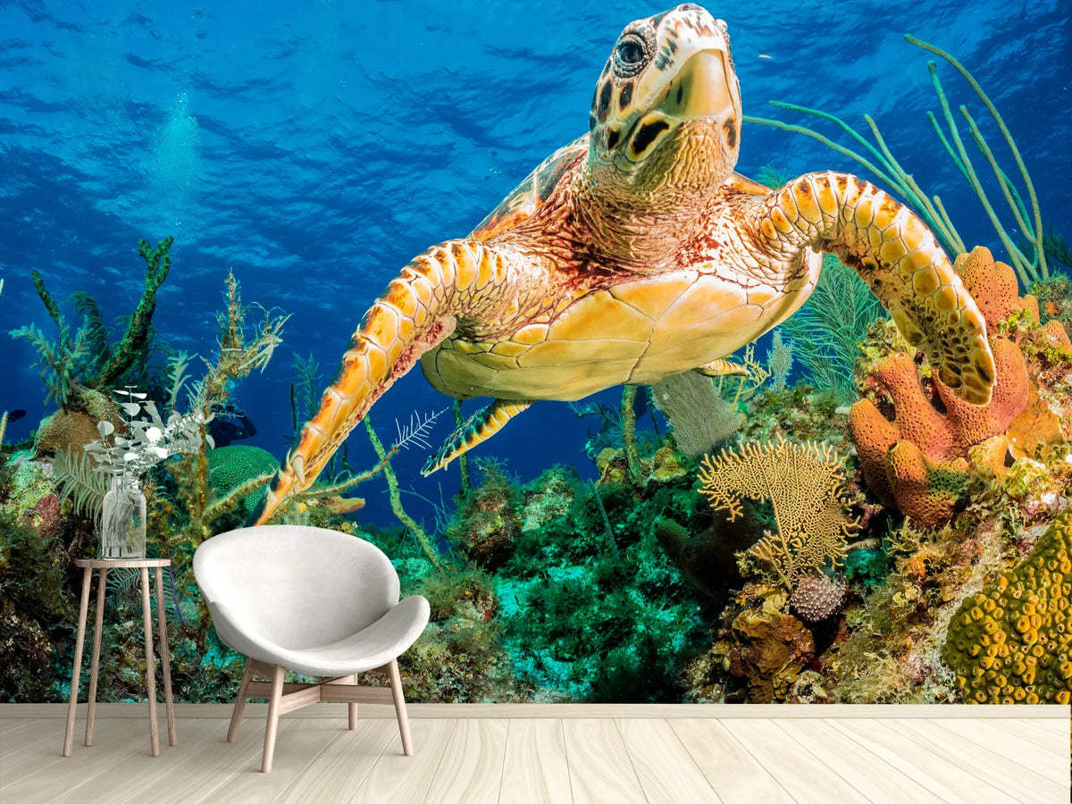 photo-wallpaper-turtle-in-the-reef