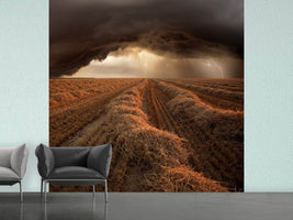 photo-wallpaper-storm-ii