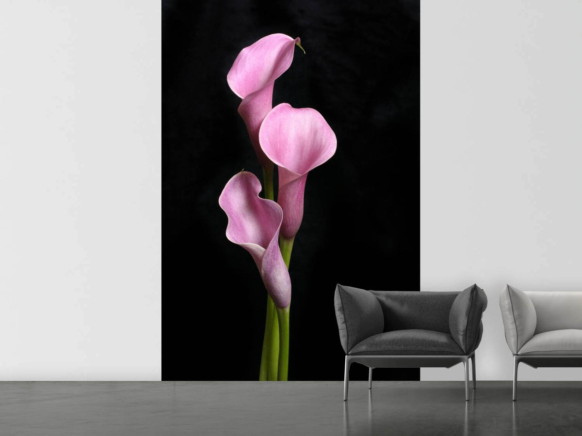 photo-wallpaper-3-purple-callas