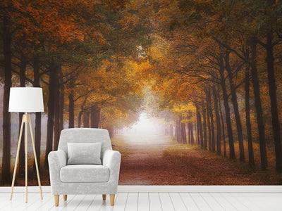 photo-wallpaper-foggy-autumn-dream-x