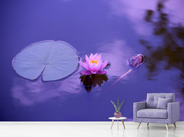 photo-wallpaper-lotus-flower